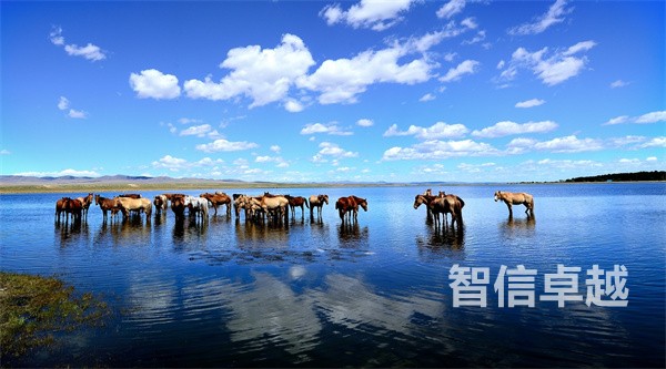醫(yī)學翻譯公司-專業(yè)正規(guī)的日語醫(yī)學翻譯